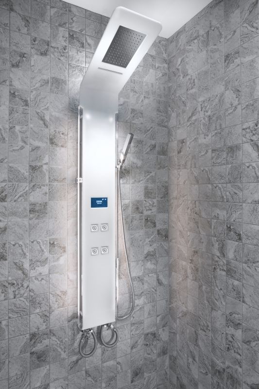 Contemporary Shower with Rain Head